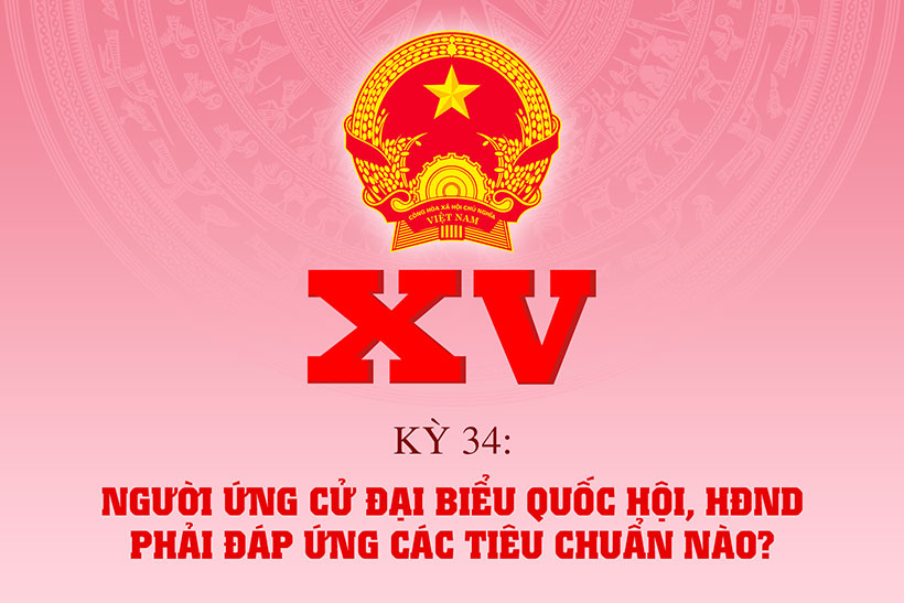 Người ứng cử đại biểu Quốc hội, đại biểu HĐND phải đáp ứng các tiêu chuẩn nào?