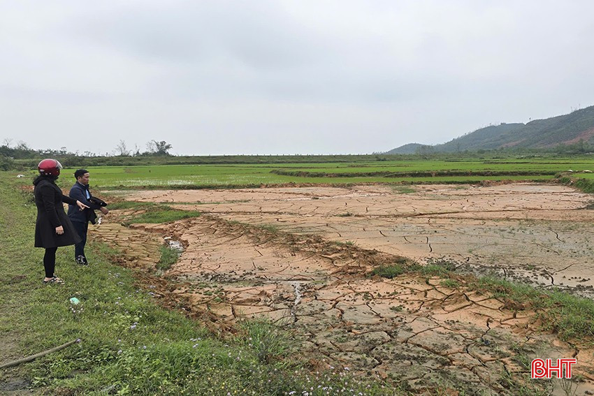 Đối với những diện tích bị vùi lấp nhẹ, người dân sẽ được hỗ trợ để cải tạo, khôi phục sản xuất.