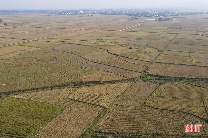 Hà Tĩnh nỗ lực bàn giao mặt bằng dự án cao tốc Bắc - Nam đúng kế hoạch