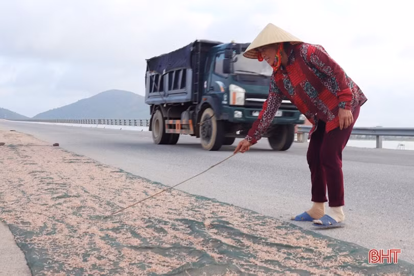 Ngăn sạt lở trên đường ven biển Hà Tĩnh