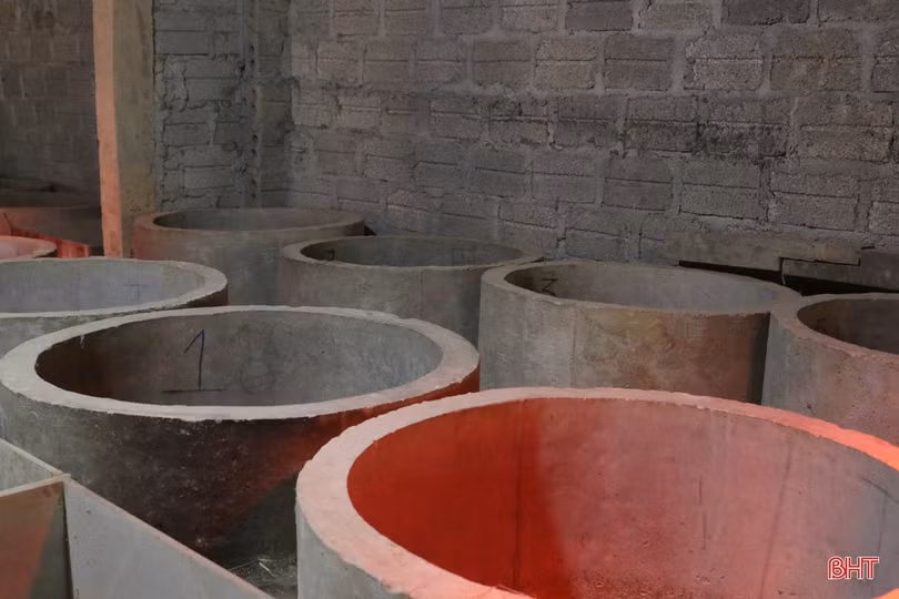 Nuôi dúi, vợ chồng miền sơn cước Hà Tĩnh thu hàng trăm triệu đồng 