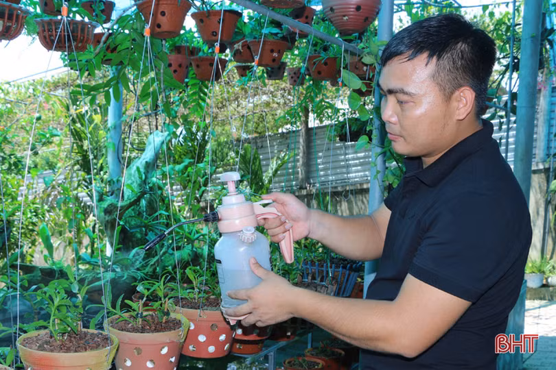 Vườn lan rừng tuyệt sắc của phó bí thư đoàn xã miền núi Hà Tĩnh