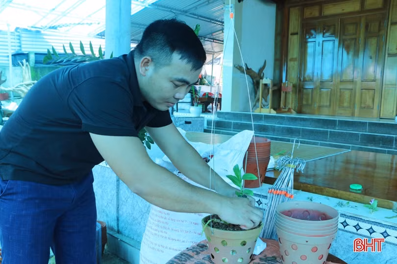 Vườn lan rừng tuyệt sắc của phó bí thư đoàn xã miền núi Hà Tĩnh