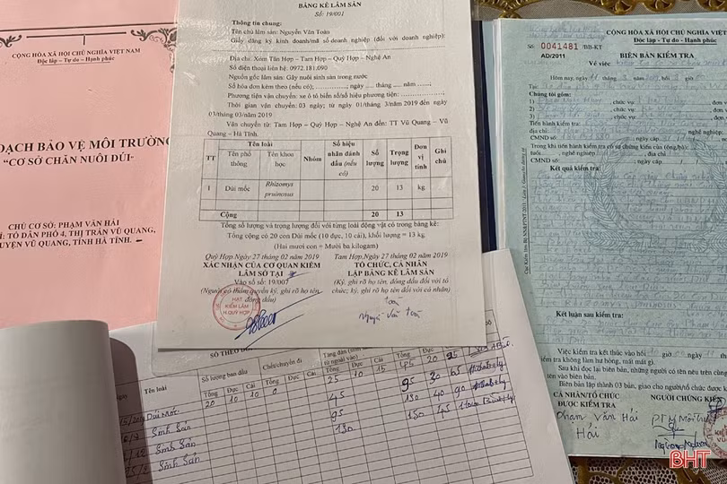 Nuôi dúi, vợ chồng miền sơn cước Hà Tĩnh thu hàng trăm triệu đồng 