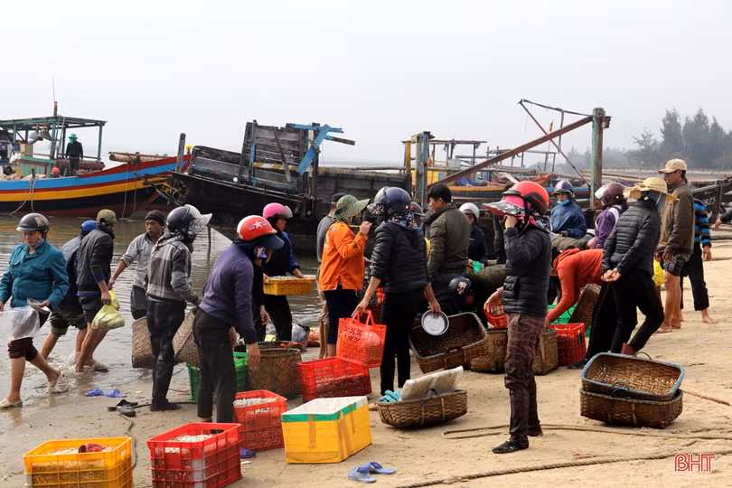 Ngư dân làng biển phía Nam Hà Tĩnh trúng đậm mùa cá cơm