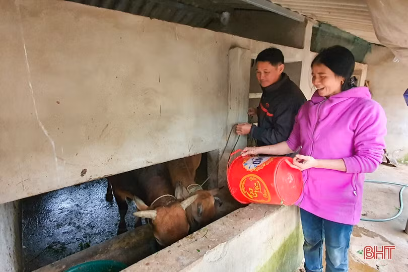 Chuyện người đàn ông ở Hà Tĩnh gần 50 tuổi vẫn quyết tâm vào Đảng