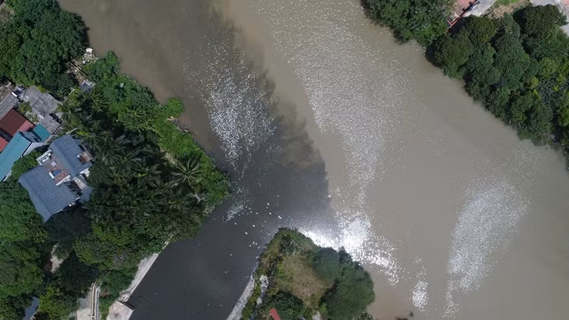 song-ho-2.jpg