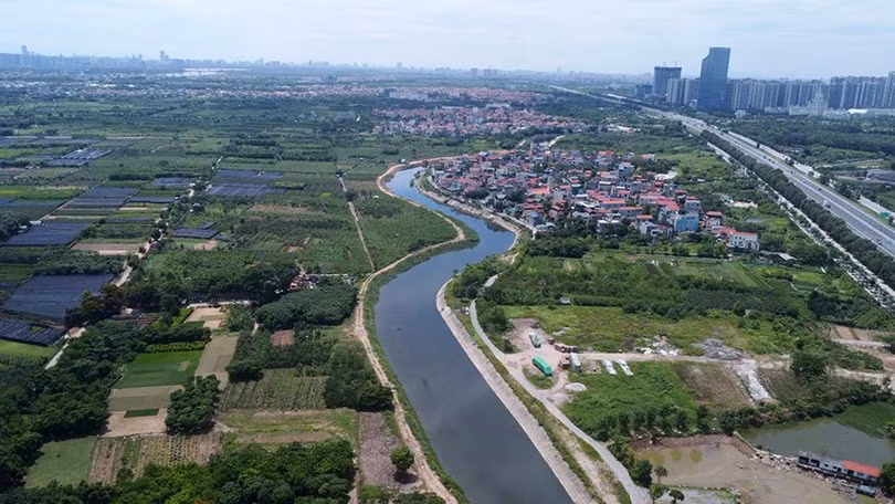 song-ho-1.jpg