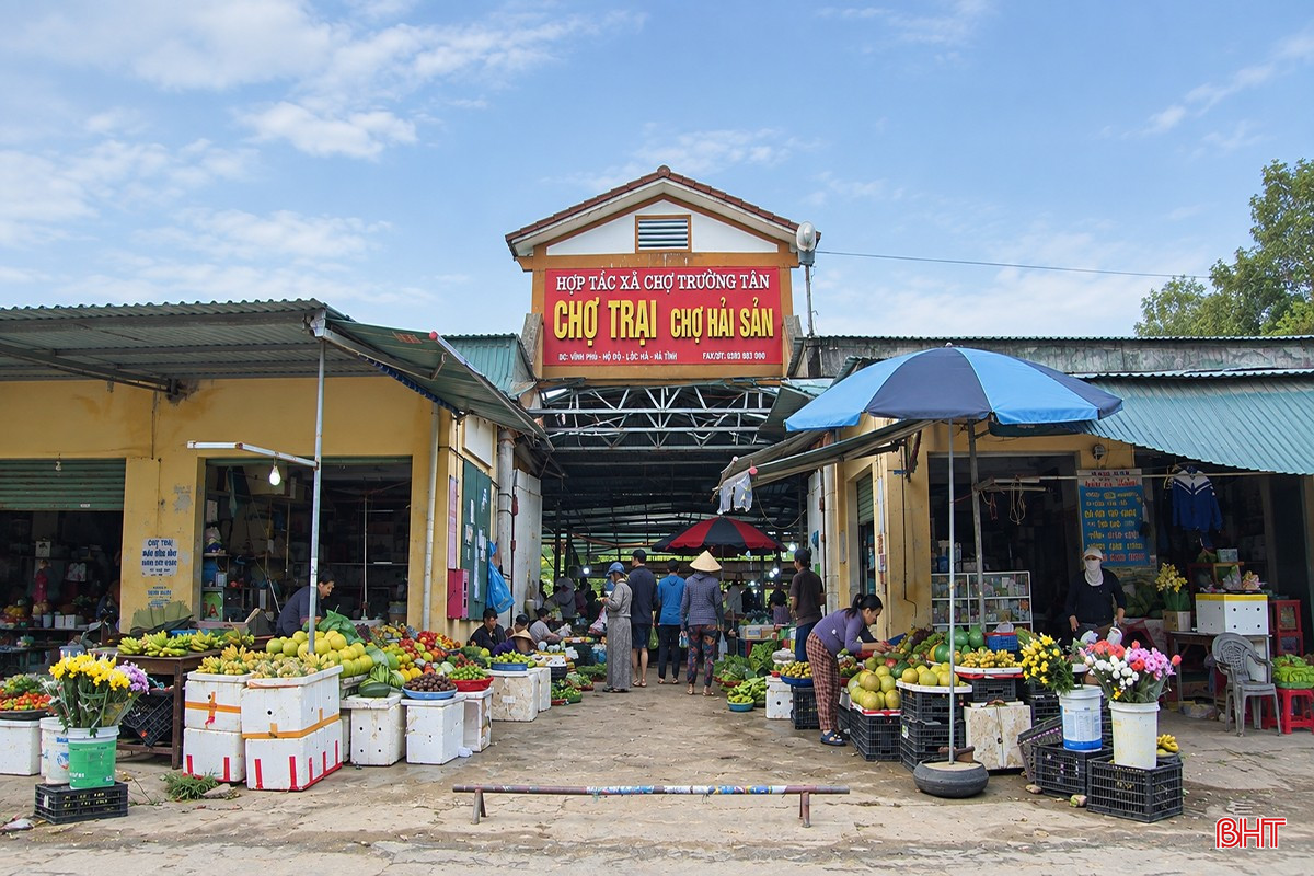 bqbht_br_cho-trai.jpg