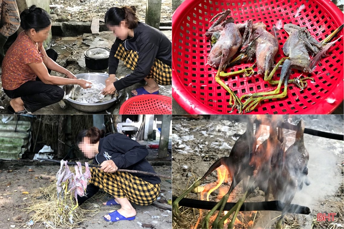 Thâm nhập các “trận địa” đánh bắt, sơ chế, tiêu thụ “chim trời” ở Hà Tĩnh