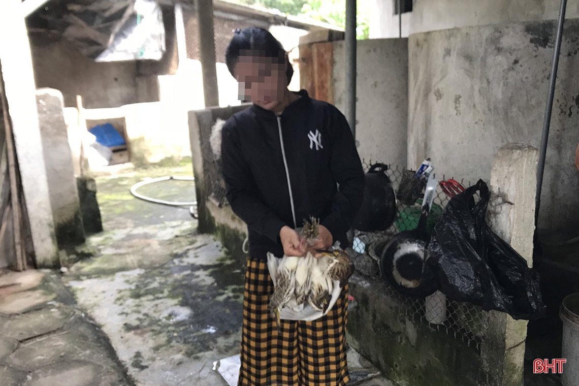 Thâm nhập các “trận địa” đánh bắt, sơ chế, tiêu thụ “chim trời” ở Hà Tĩnh