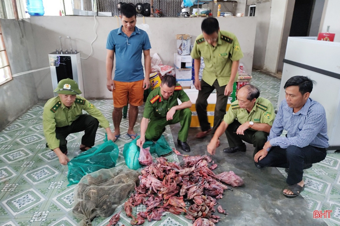 Thâm nhập các “trận địa” đánh bắt, sơ chế, tiêu thụ “chim trời” ở Hà Tĩnh