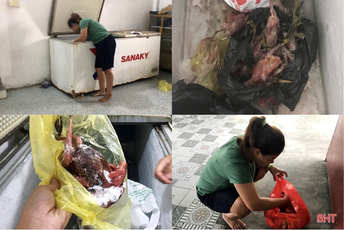 Thâm nhập các “trận địa” đánh bắt, sơ chế, tiêu thụ “chim trời” ở Hà Tĩnh