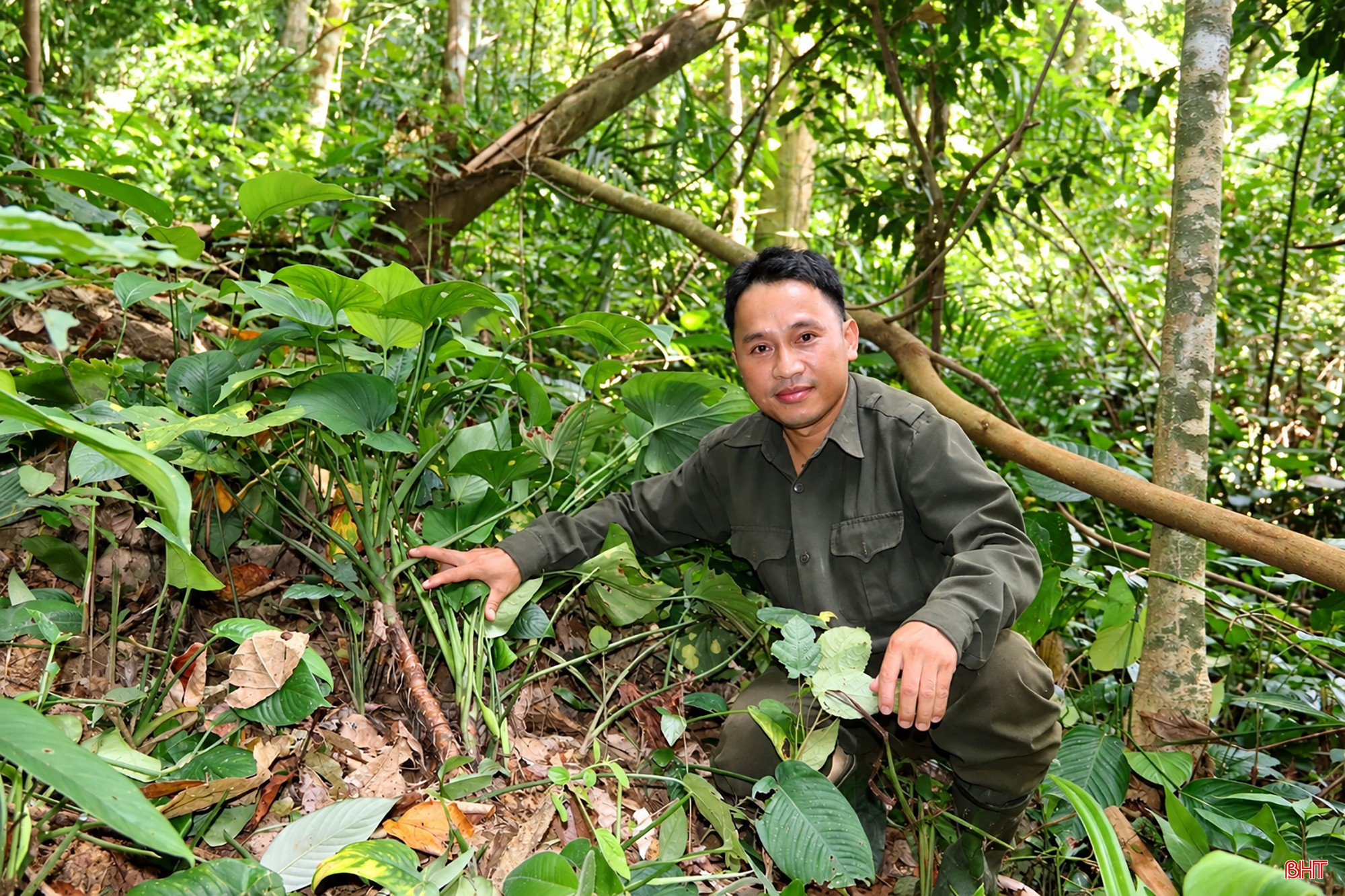 bqbht_br_nguoi-dan-ong-giua-rung-xanh-nhiet-doi.jpg