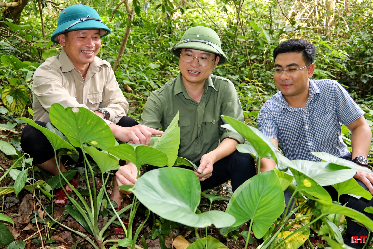 bqbht_br_anh-chatgpt-16-53-43-29-thg-10.png