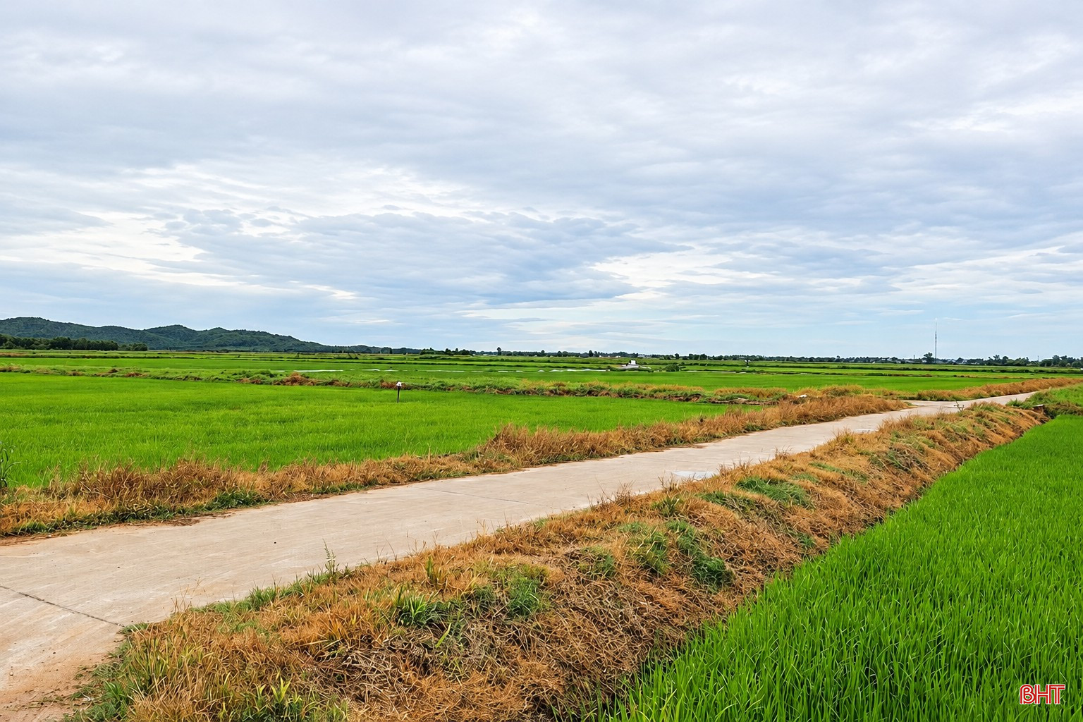 bqbht_br_duong-que-giua-canh-dong-lua.jpg