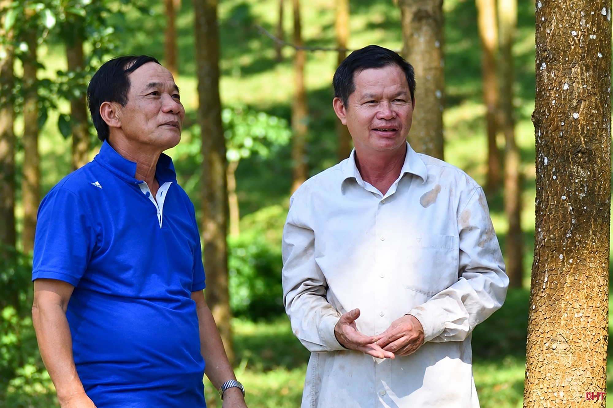 bqbht_br_hai-nguoi-tro-chuyen-giua-rung-xanh.jpg