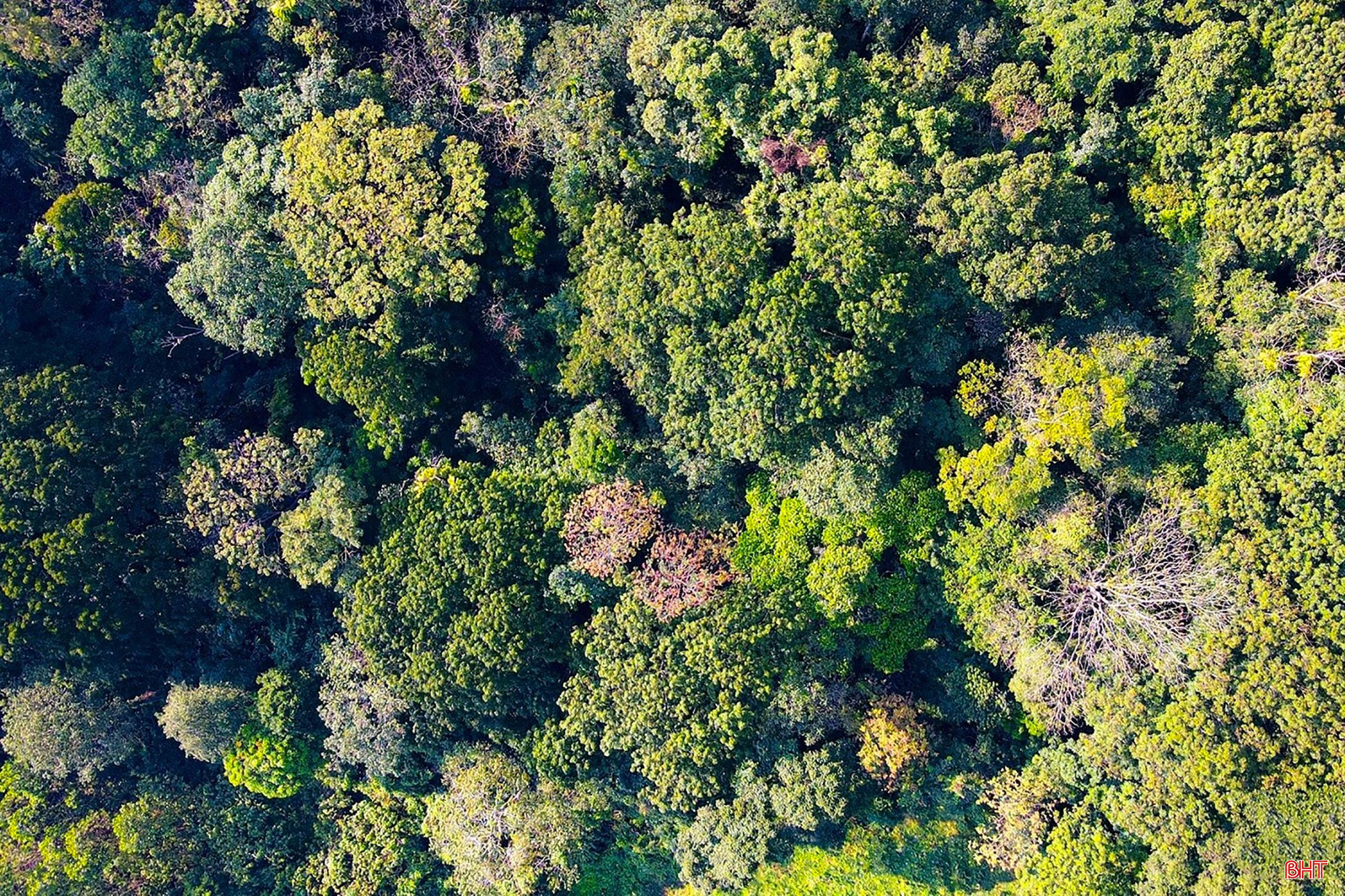 bqbht_br_a1dji-fly-20260114-091002-298-1768356614838-photo.jpg