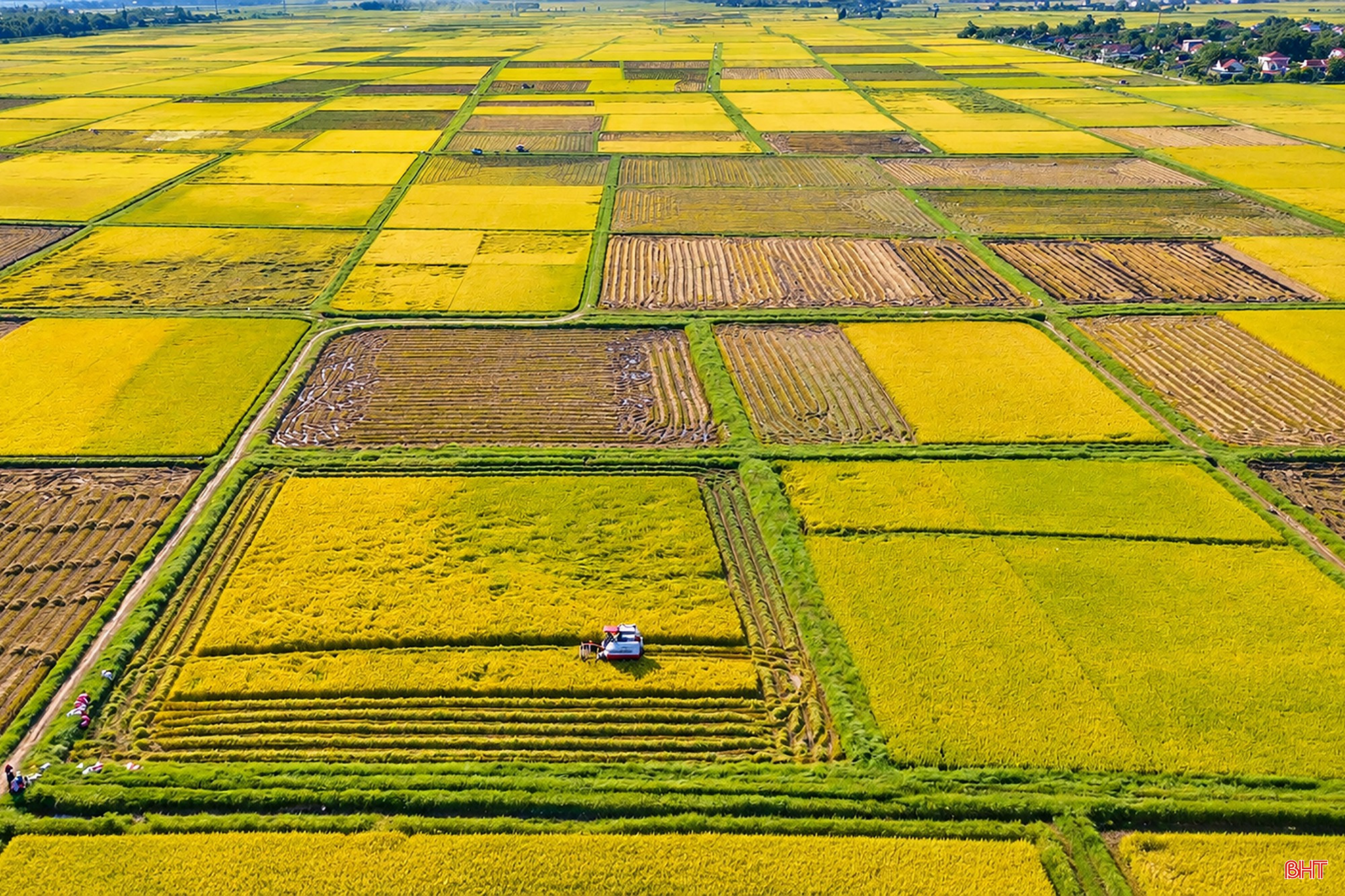 bqbht_br_toan-canh-ruong-lua-dong-que-tu-tren-cao.jpg