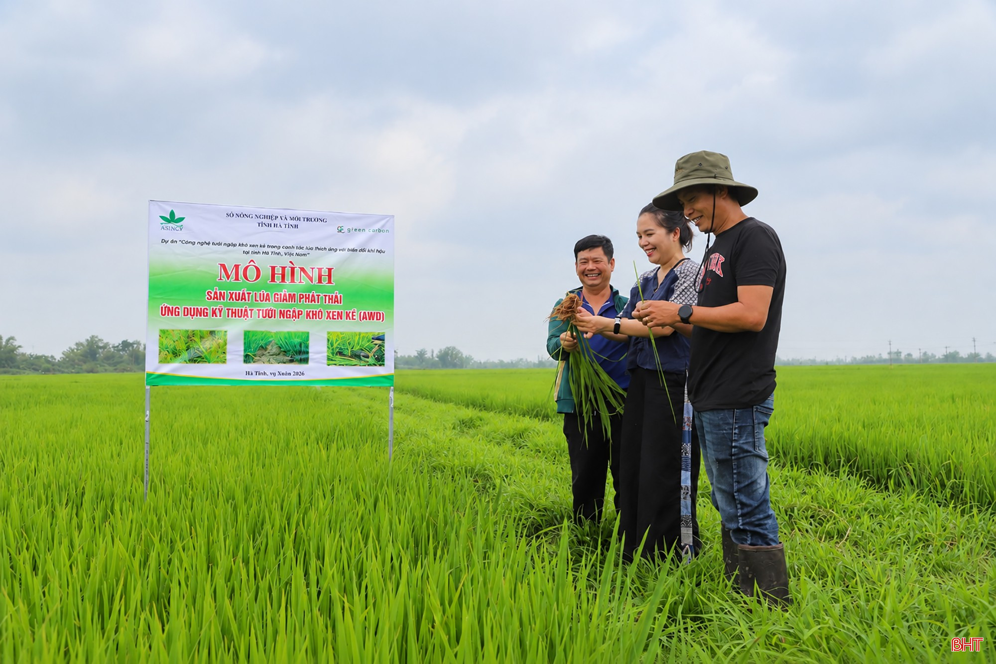bqbht_br_mo-hinh-lua-xanh-ha-tinh.jpg