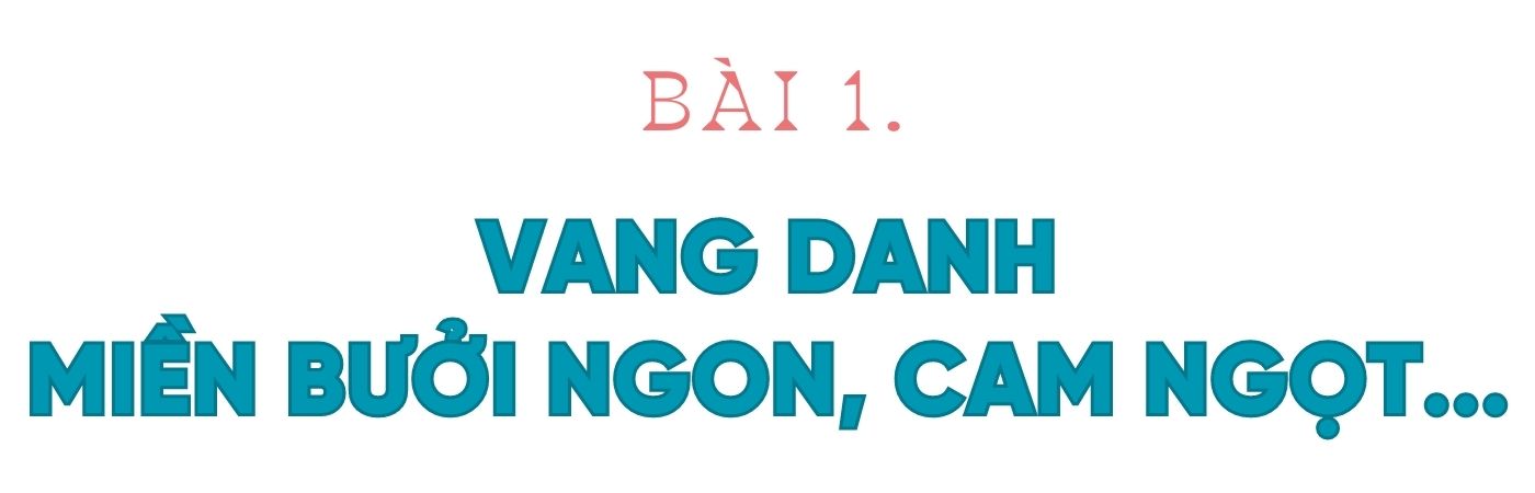 Mở đường cho đặc sản Hương Khê vươn xa (bài 1): Vang danh miền bưởi ngon, cam ngọt...