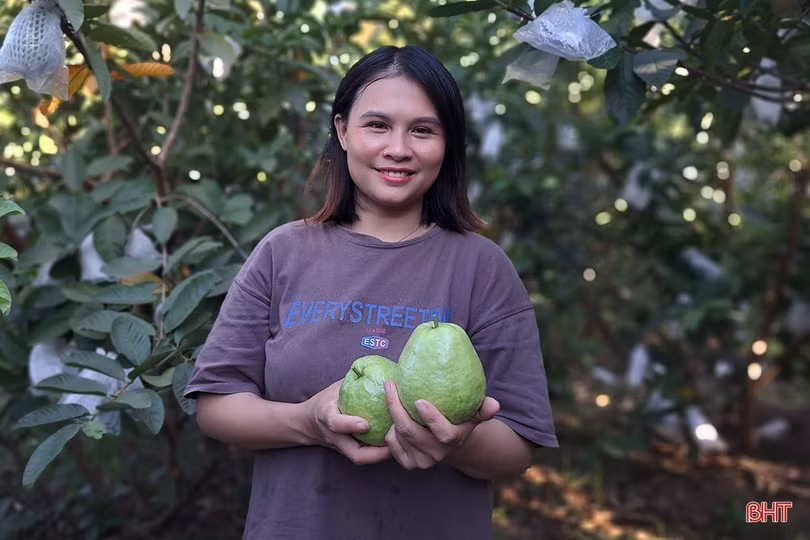 Xem vườn cây ăn quả màu mỡ của đôi vợ chồng trẻ ở xứ ca trù Hà Tĩnh