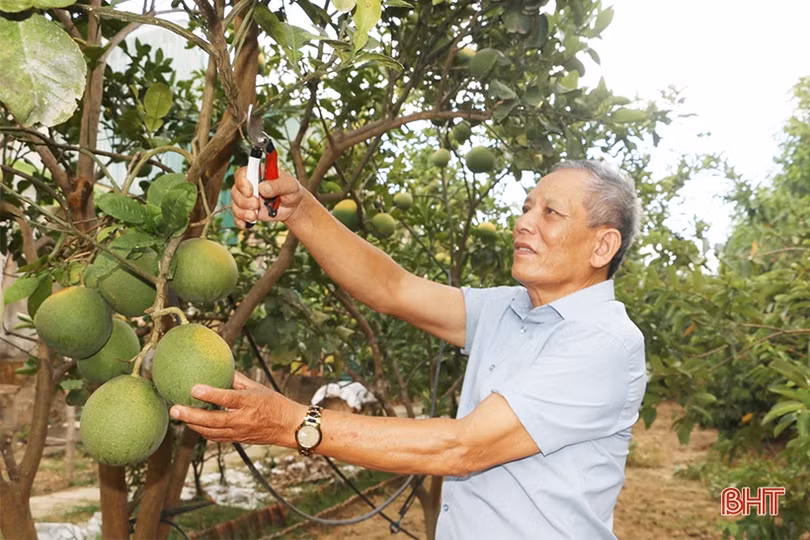 Cựu thanh niên xung phong tâm huyết với việc thôn