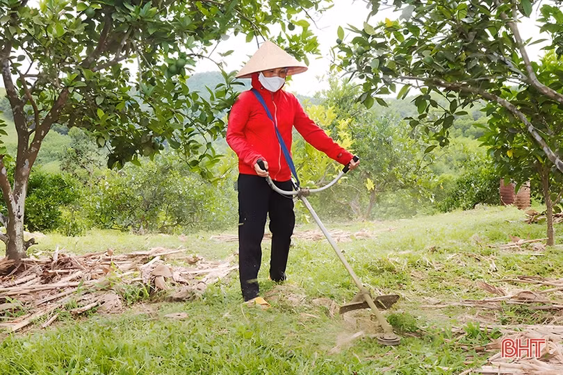Một xã miền núi ở Vũ Quang có 90 mô hình cho thu nhập từ 100 triệu đồng/năm trở lên