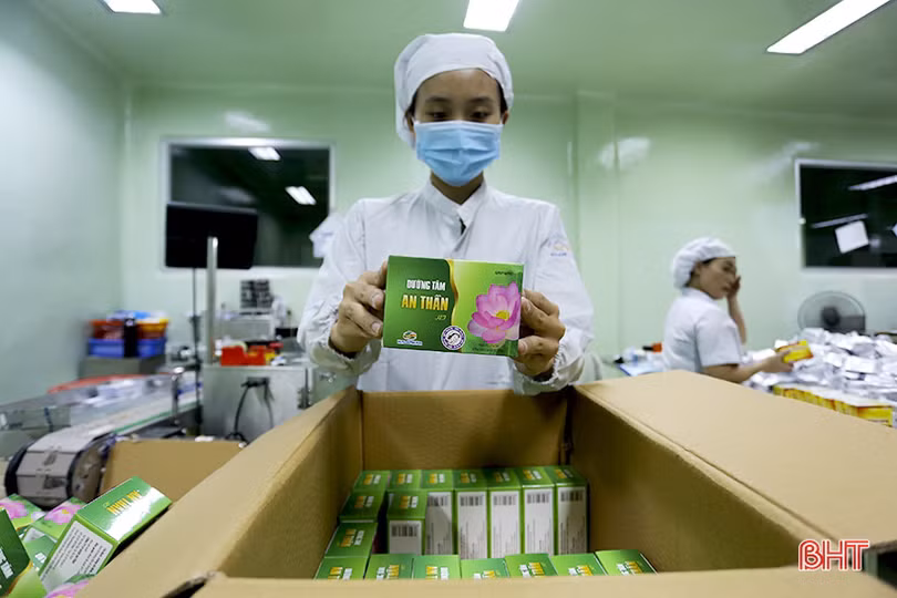 Doanh nghiệp Hà Tĩnh nỗ lực vượt khó, đẩy mạnh sản xuất, kinh doanh