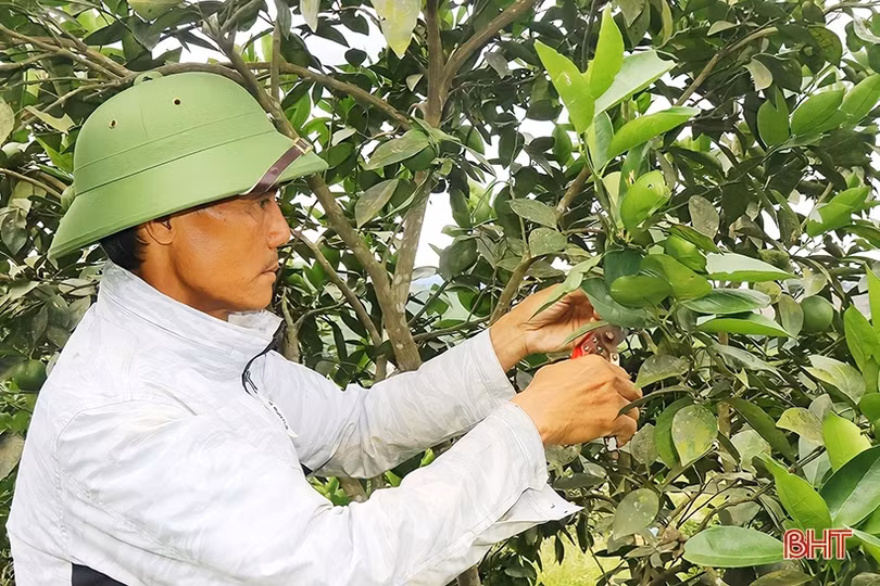 Một xã miền núi ở Vũ Quang có 90 mô hình cho thu nhập từ 100 triệu đồng/năm trở lên