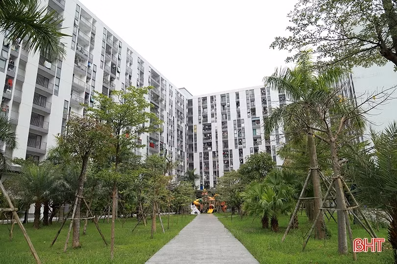 Khuôn viên Nhà ở xã hội tại phường Thạch Linh (TP Hà Tĩnh).