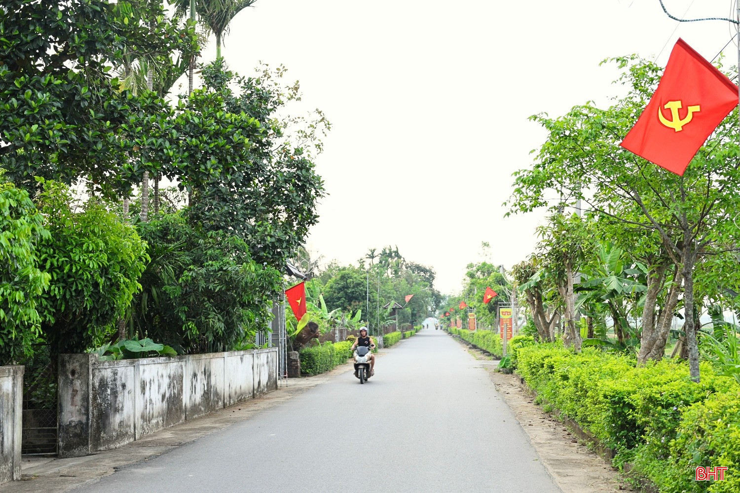 bqbht_br_4444.jpg