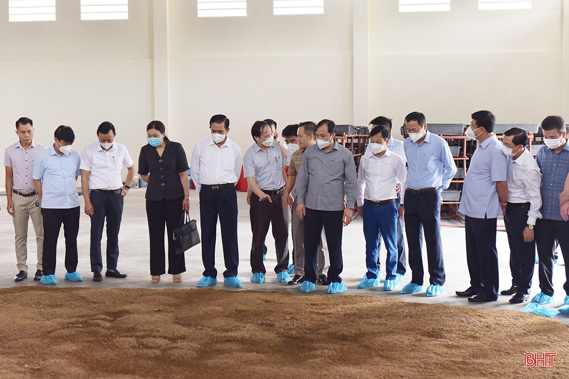 Lãnh đạo tỉnh Hà Tĩnh mong muốn Công ty CP Tập đoàn Quế Lâm chia sẻ kinh nghiệm sản xuất nông nghiệp hữu cơ
