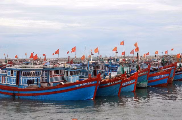 go vuong chinh sach bao hiem thuy san
