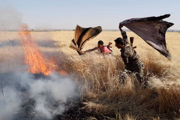 photo duong toi thu do raqqa cua to chuc nha nuoc hoi giao is