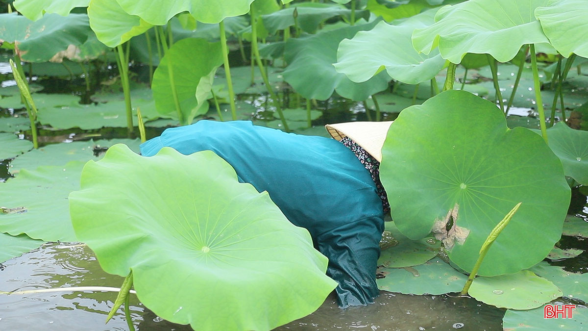 Ảnh 6.jpg