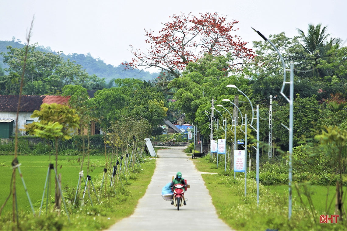 Chiêm ngưỡng vẻ đẹp quyến rũ mùa hoa gạo nở ở miền sơn cước Hà Tĩnh