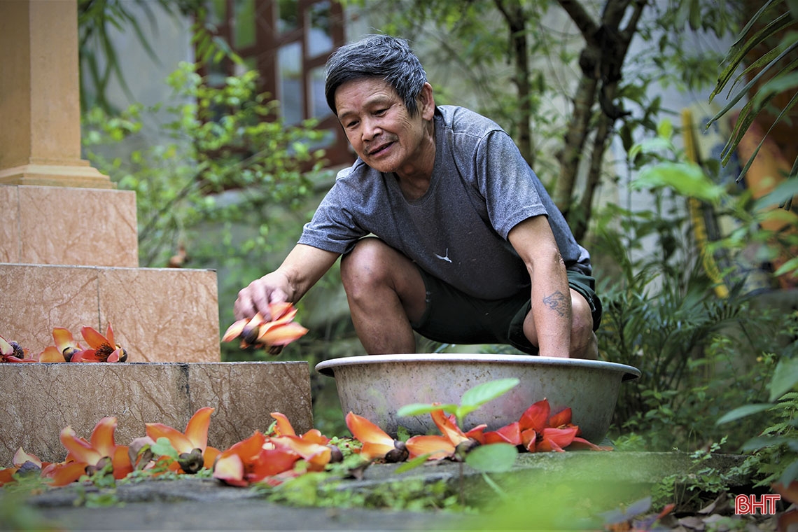 Chiêm ngưỡng vẻ đẹp quyến rũ mùa hoa gạo nở ở miền sơn cước Hà Tĩnh