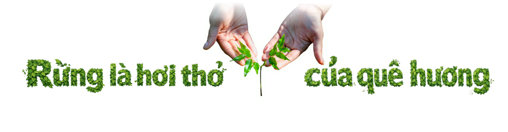 tit-phu-1000-x-250-px-1000-x-260-px-1.png