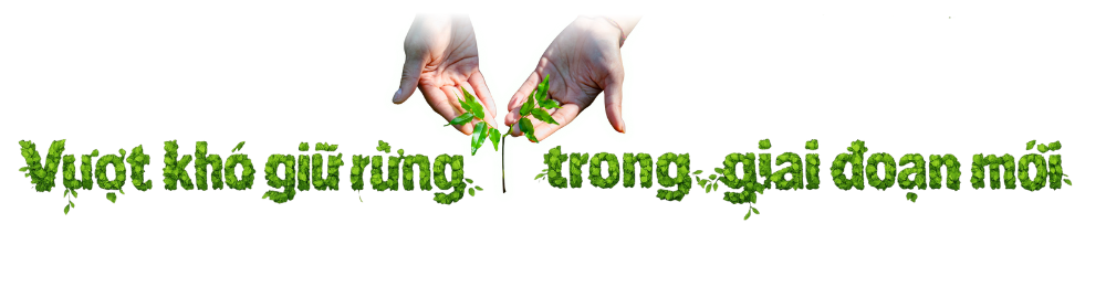 tit-phu-1000-x-250-px-1000-x-260-px-2.png