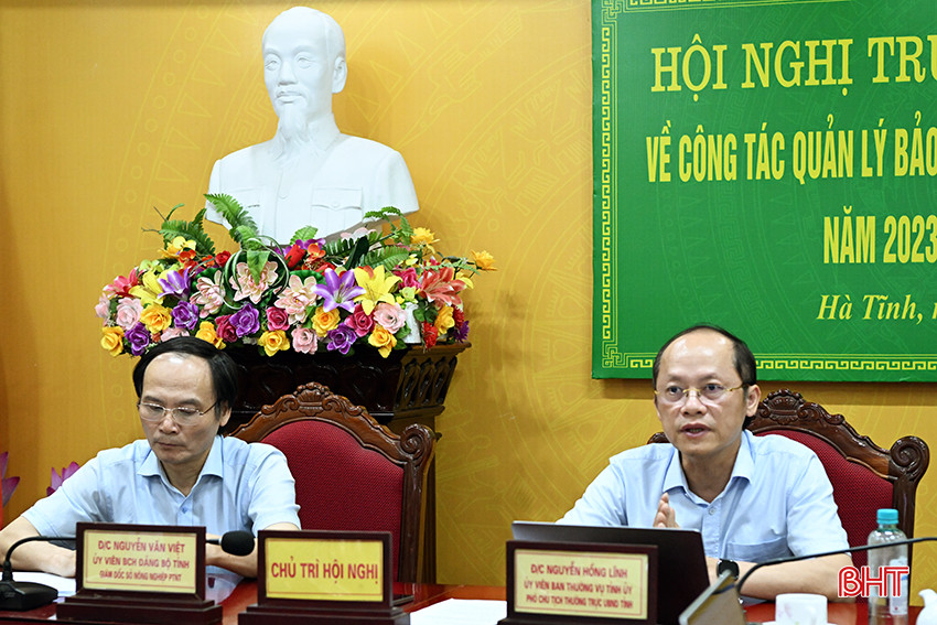 Phó Chủ tịch Thường trực UBND tỉnh Nguyễn Hồng Lĩnh phát biểu chỉ đạo điểm cầu Hà Tĩnh.