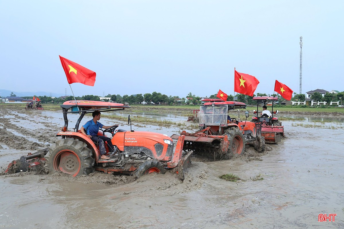 Các mô hình sản xuất nông nghiệp an toàn gắn với tập trung ruộng đất tiếp tục được mở rộng quy mô.