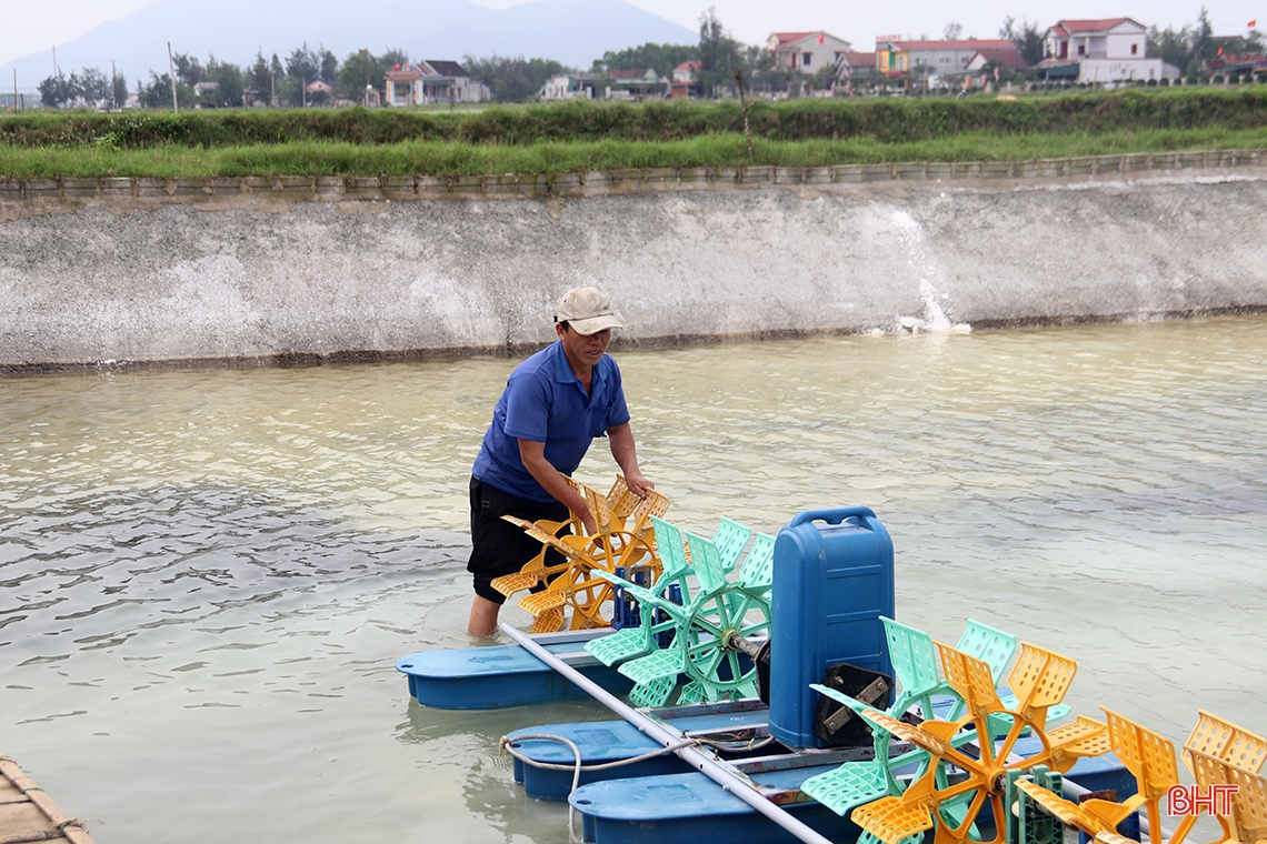 Nông dân Hà Tĩnh chuẩn bị vụ tôm xuân hè