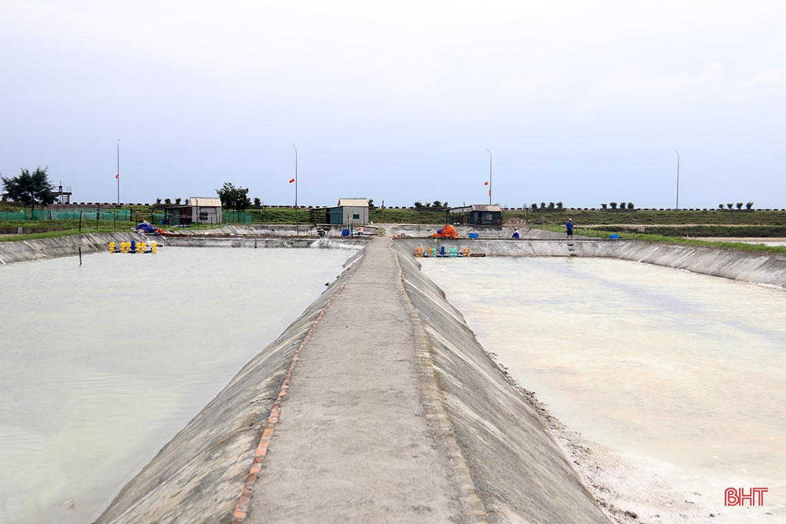 Nông dân Hà Tĩnh chuẩn bị vụ tôm xuân hè