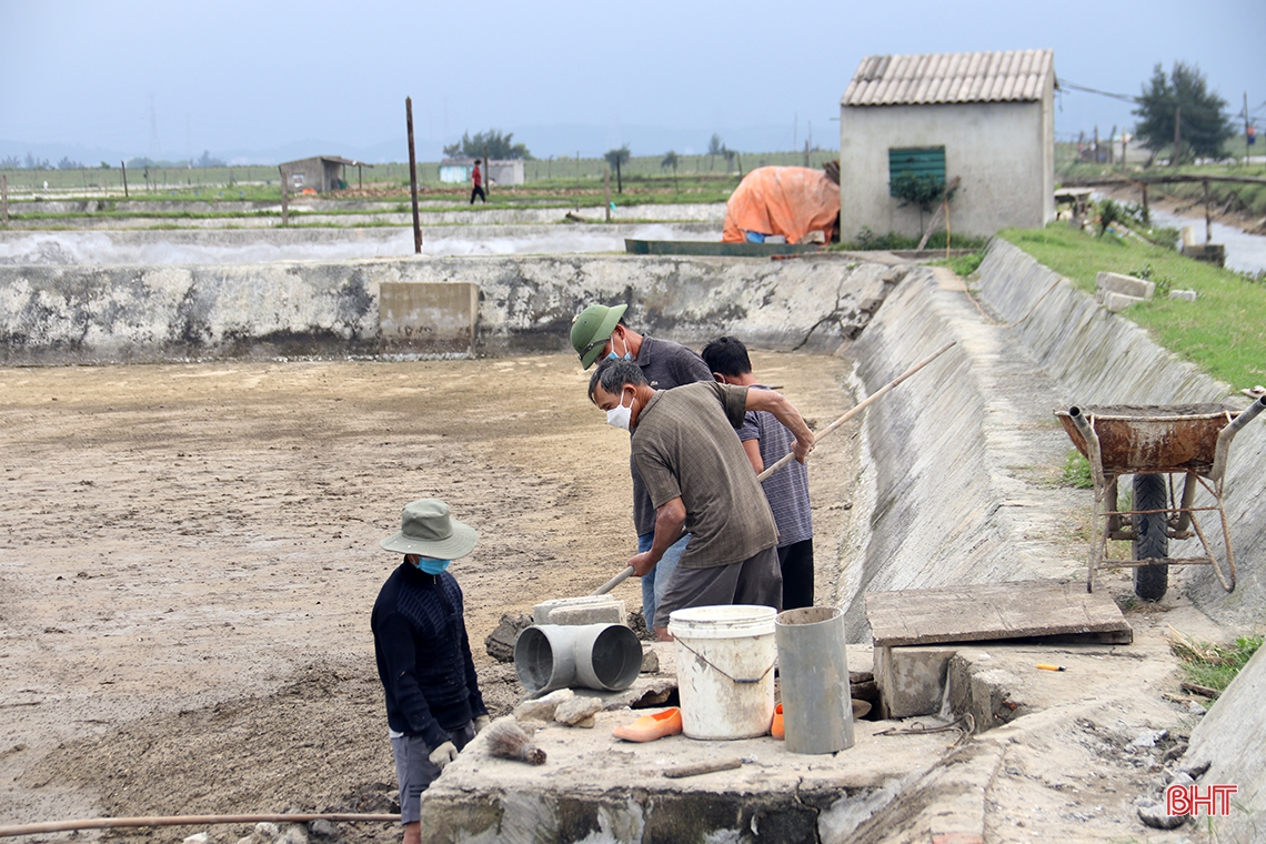 Nông dân Hà Tĩnh chuẩn bị vụ tôm xuân hè