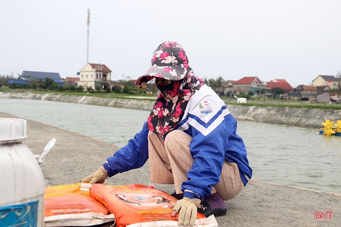 Nông dân Hà Tĩnh chuẩn bị vụ tôm xuân hè