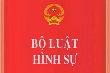 thu tuong chi thi trien khai thi hanh bo luat hinh su nam 2015