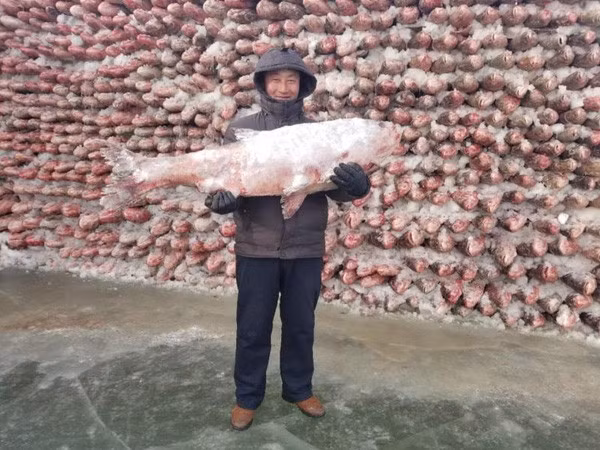 buc tuong ky la xay bang 2 000 con ca giua ho bang