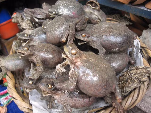 khu cho phu thuy ban du moi thu ky la cho toi mon bua yeu