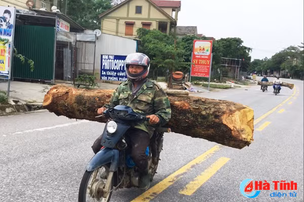 video xe may troc duoi cho go chay nhu bay tren ql 8a